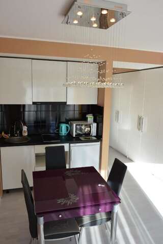 Апартаменты Kirova 27D white DELUX studio Днепр Апартаменты Делюкс-1