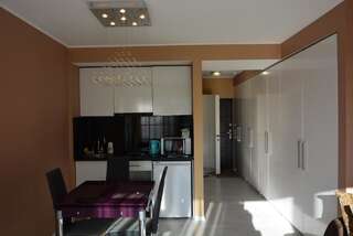 Апартаменты Kirova 27D white DELUX studio Днепр Апартаменты Делюкс-3